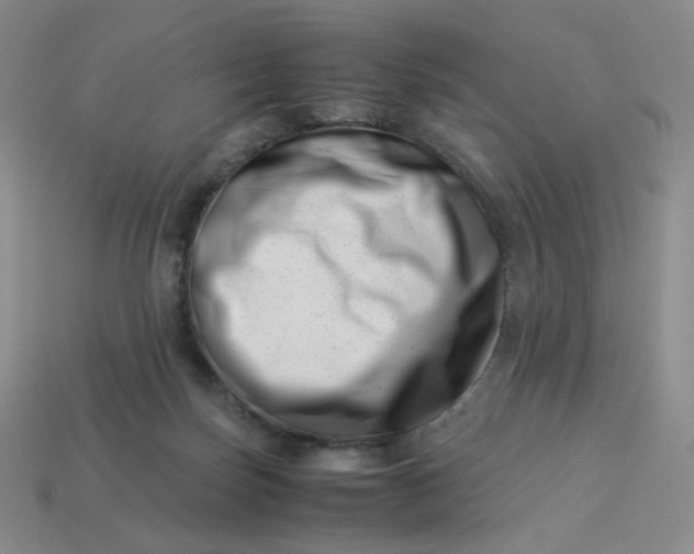 X0000113990171200910161655