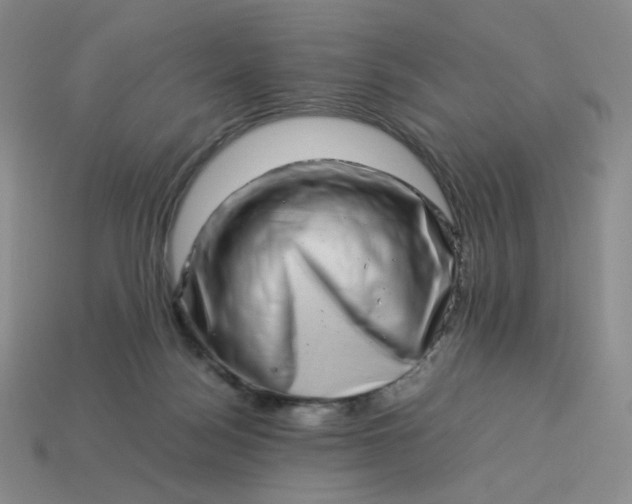 X0000113990172200910161655