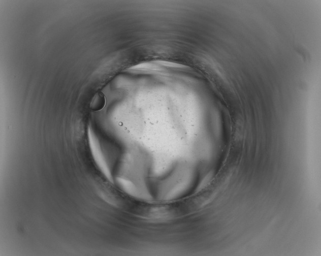 X0000113990173200910161655