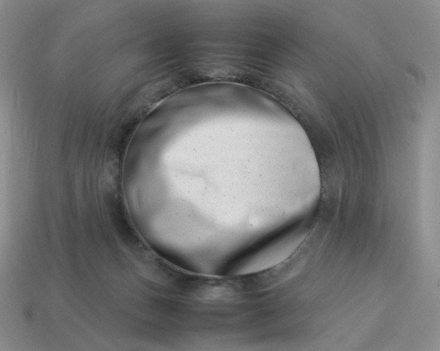 X0000113990175200910161655