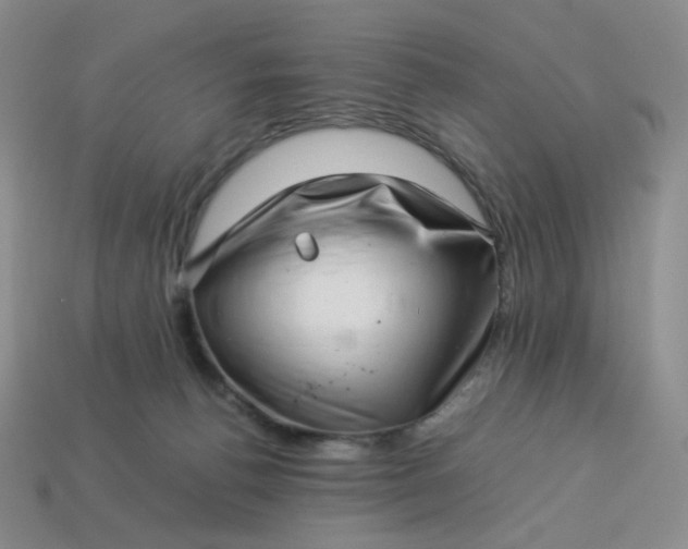 X0000113990176200910161655