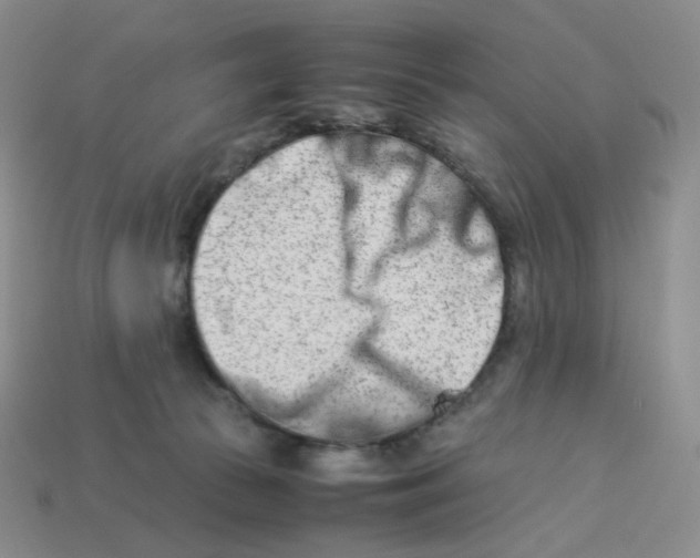 X0000113990177200910161655