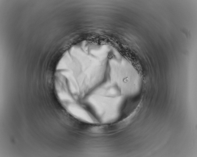 X0000113990178200910161655