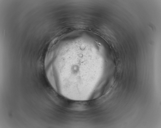 X0000113990179200910161655