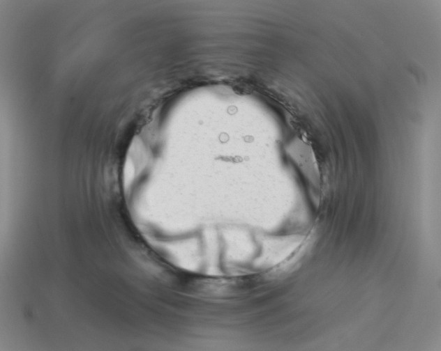 X0000113990182200910161655