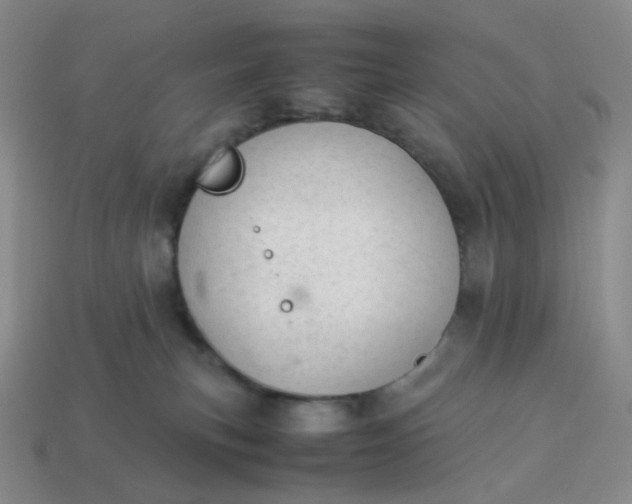 X0000113990183200910161655