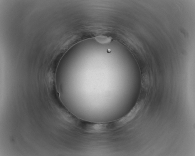 X0000113990184200910161655