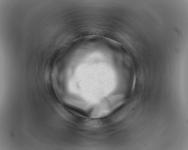 X0000113990185200910161655