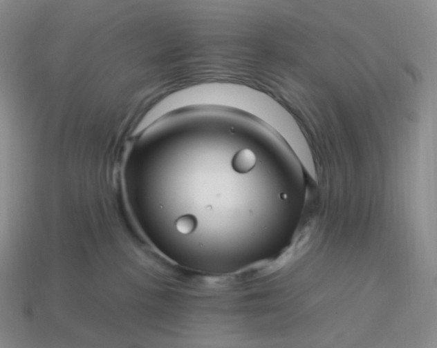 X0000113990188200910161655