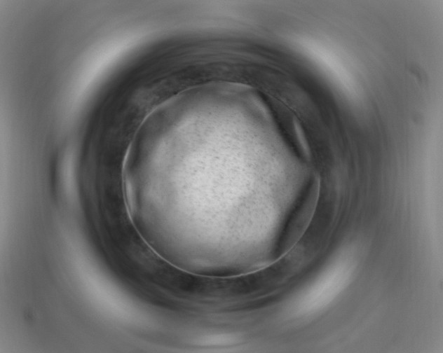 X0000113990189200910161655