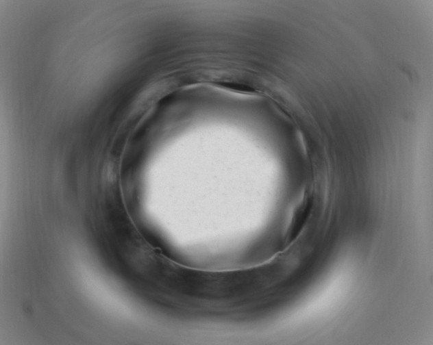 X0000113990191200910161655