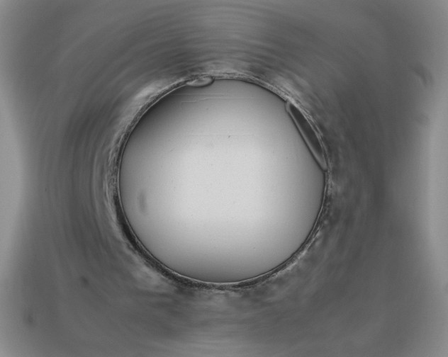 X0000113990193200910161654