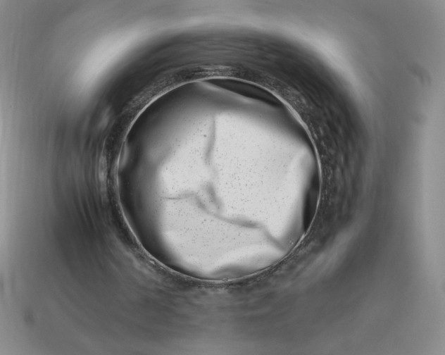 X0000113990194200910161654