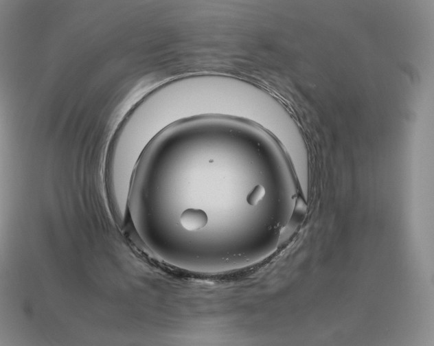 X0000113990195200910161654