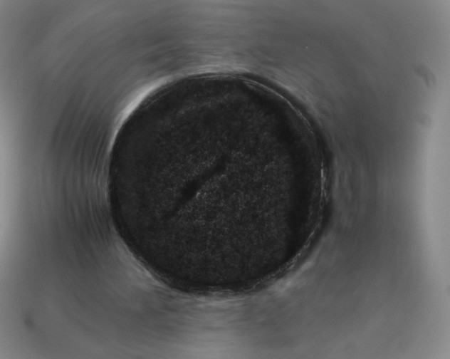 X0000113990196200910161654