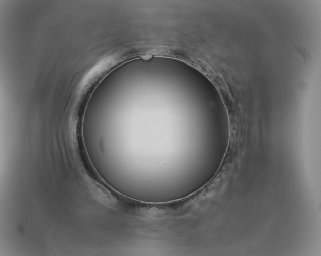 X0000113990197200910161654