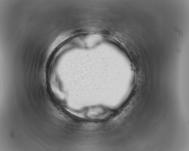 X0000113990198200910161654