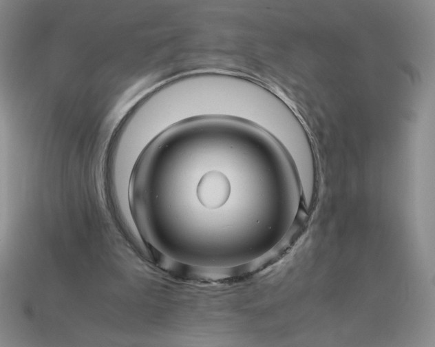 X0000113990199200910161654