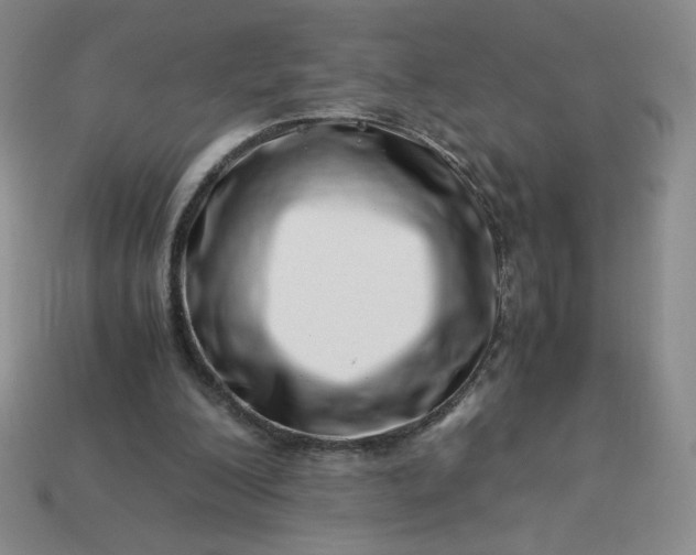 X0000113990200200910161654