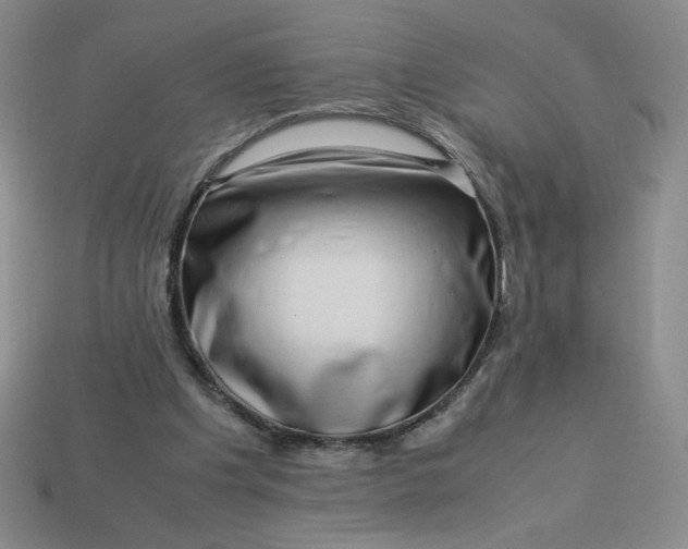 X0000113990201200910161654