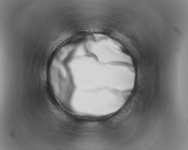 X0000113990202200910161654