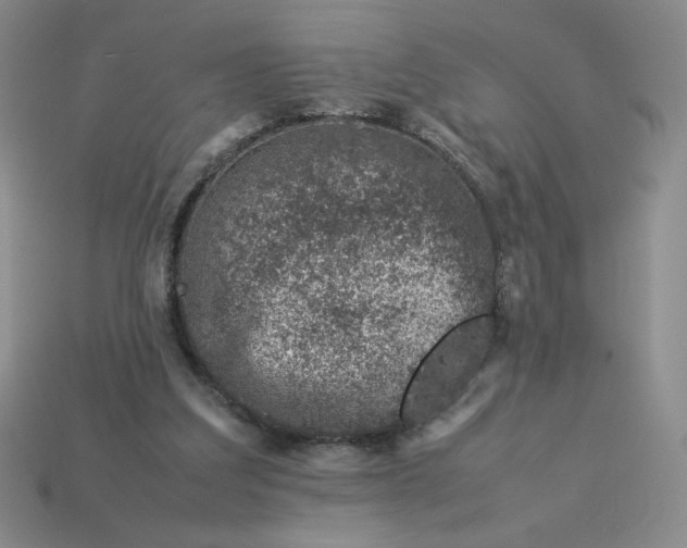 X0000113990203200910161654