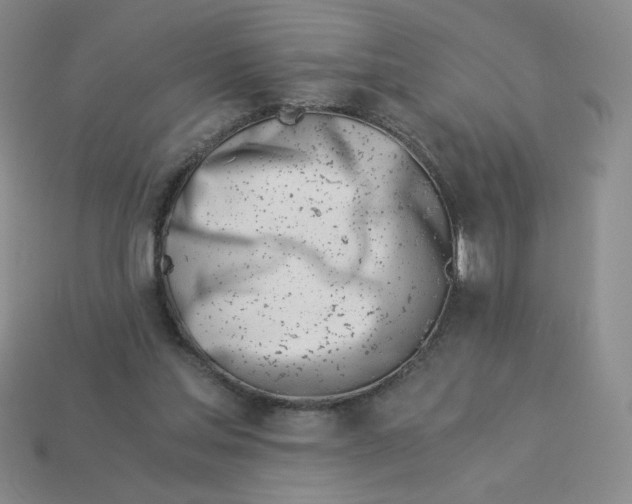 X0000113990205200910161654