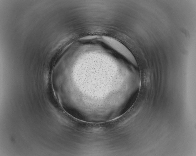 X0000113990206200910161654