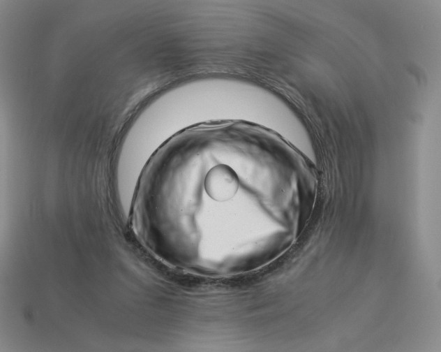 X0000113990207200910161654