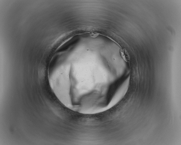 X0000113990208200910161654