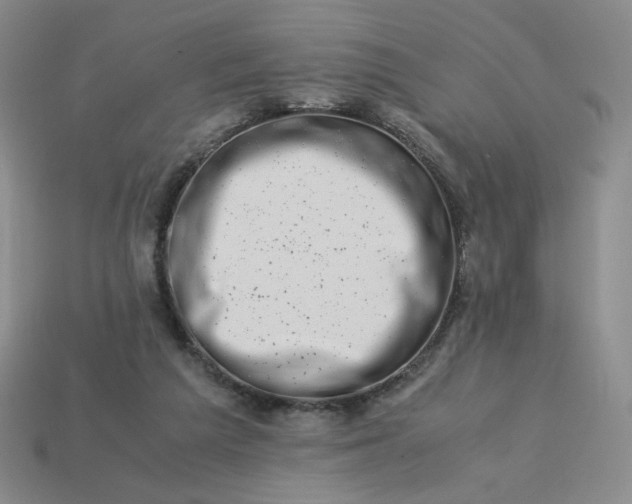 X0000113990209200910161654