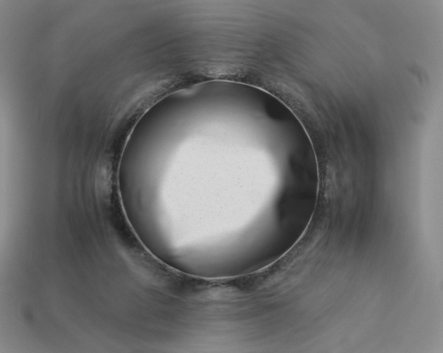 X0000113990210200910161654