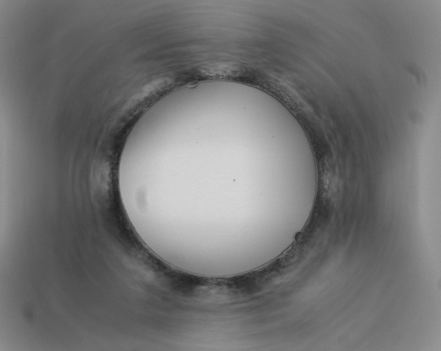 X0000113990211200910161654