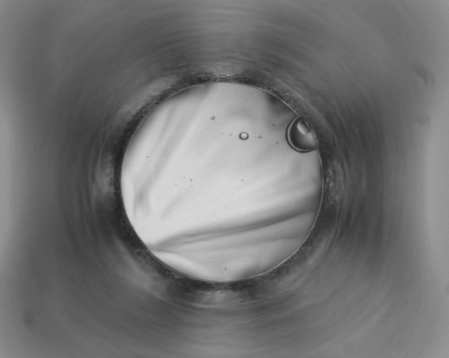 X0000113990212200910161654