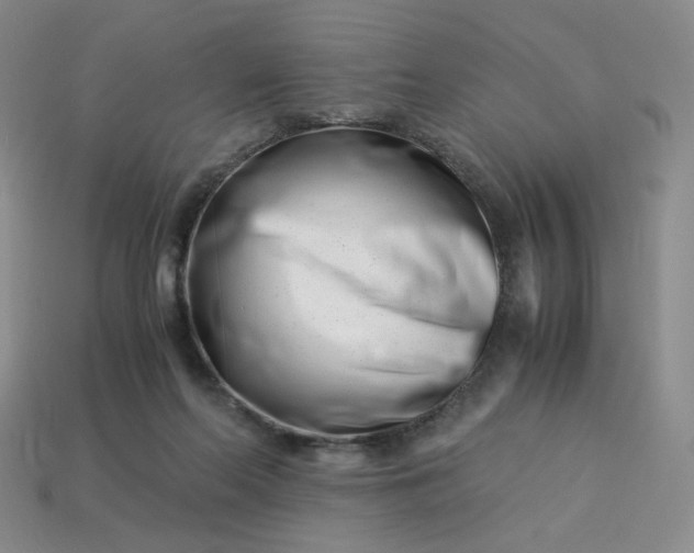 X0000113990214200910161654