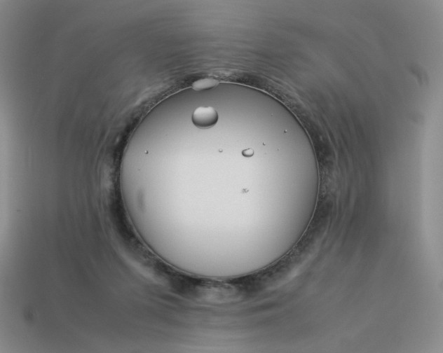 X0000113990215200910161654