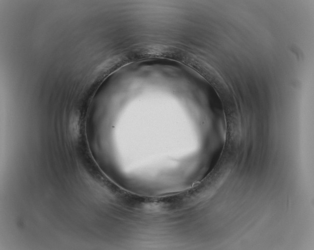 X0000113990216200910161654