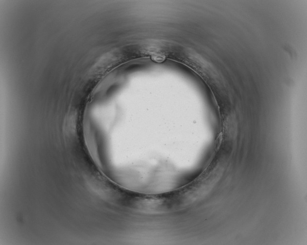 X0000113990217200910161654