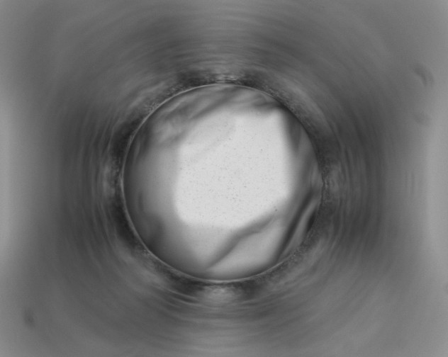 X0000113990218200910161654