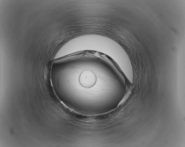 X0000113990219200910161654