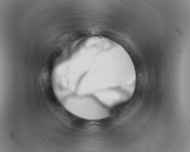 X0000113990222200910161654