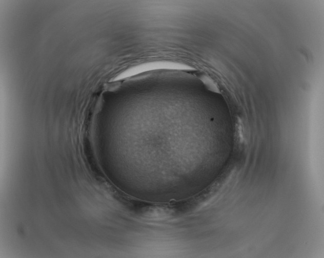 X0000113990223200910161654