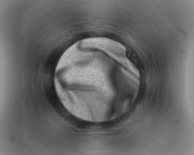 X0000113990224200910161654