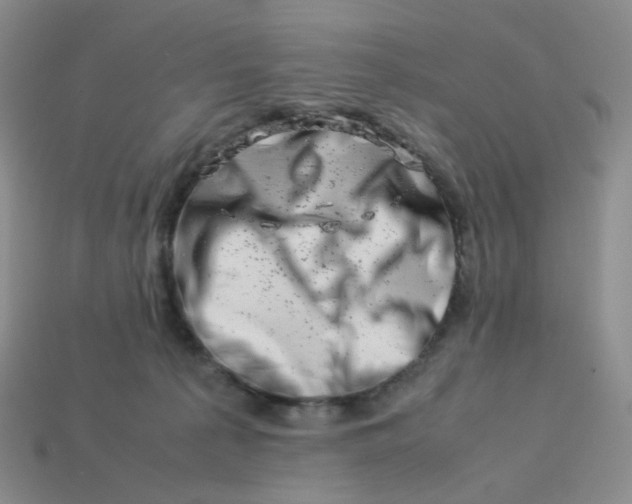 X0000113990225200910161654