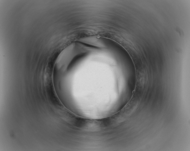 X0000113990226200910161654