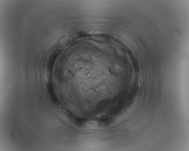 X0000113990227200910161654