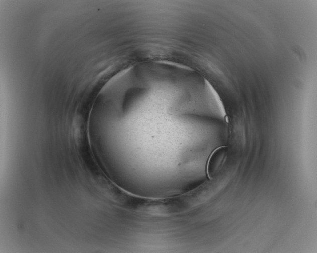 X0000113990228200910161654