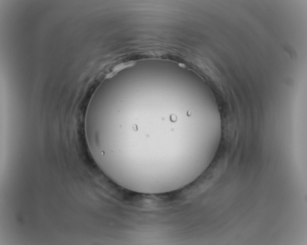 X0000113990229200910161654