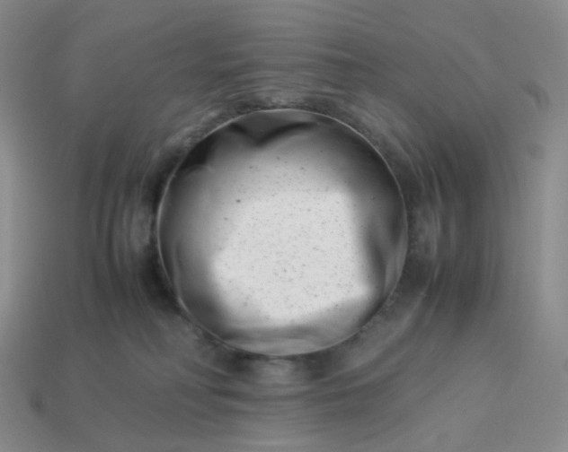 X0000113990230200910161654