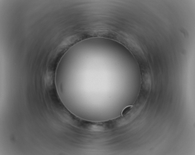 X0000113990232200910161654